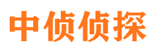 鹤城市侦探调查公司